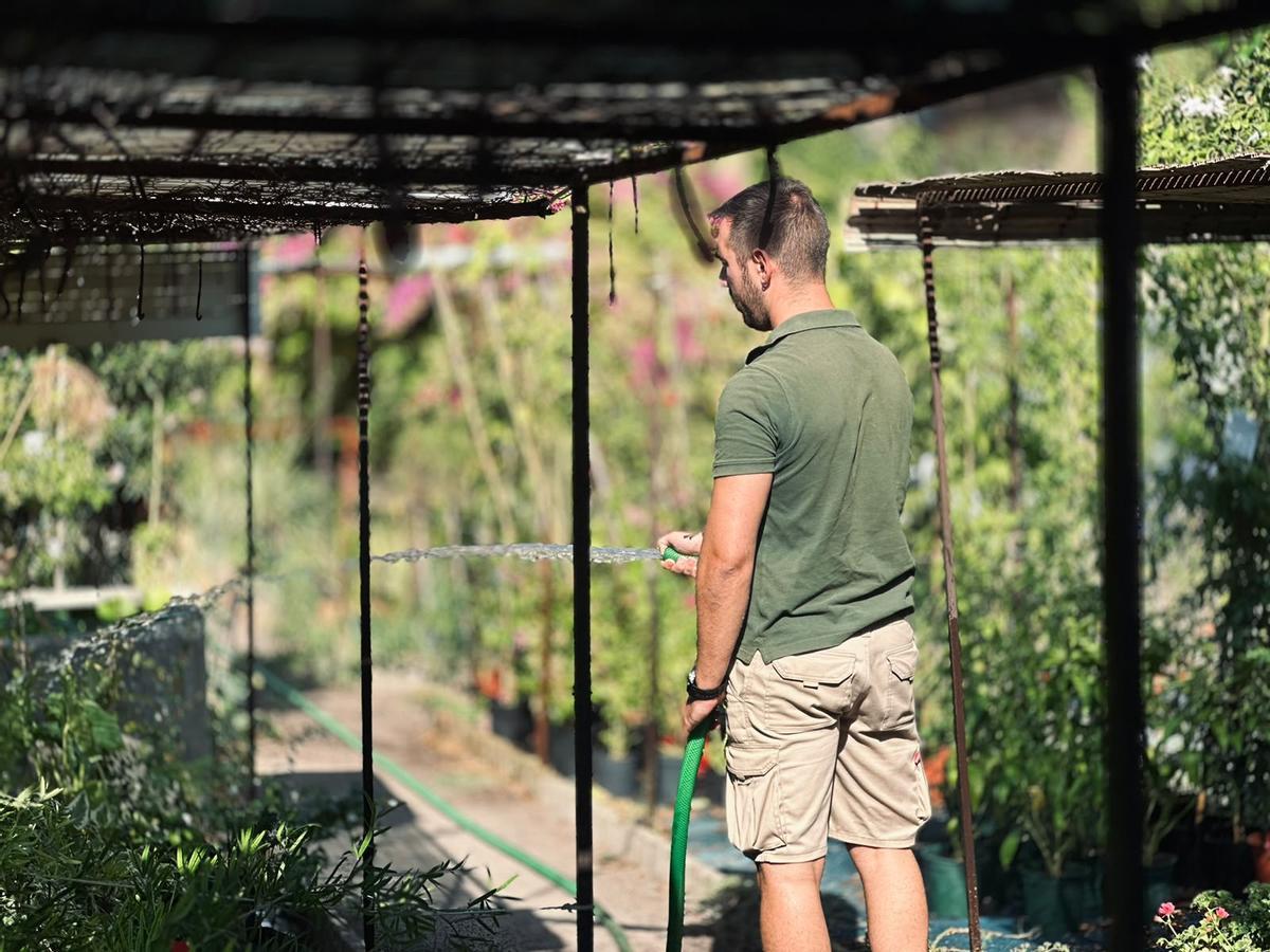 Federico, empleado del Vivero Sujardín, riesga las plantas.