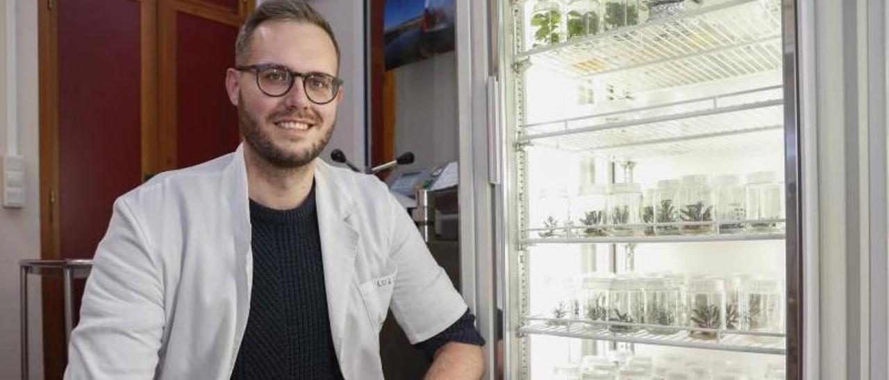 El investigador Pascual García, durante el estudio de las plantas de kalanchoe.   | // PABLO HERNÁNDEZ.