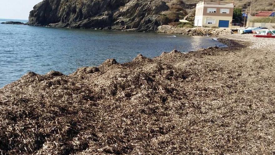 La playa de Calnegre, en Lorca.