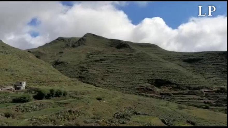 Coronavirus en Tenerife | Quebrantan la cuarentena para salir al monte en La Laguna y se jactan de ello