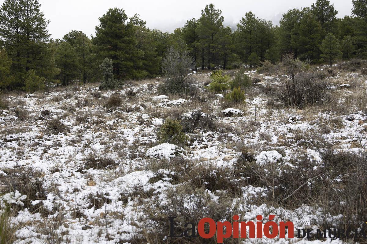 Nieve en las proximidades de Revolcadores en Moratalla