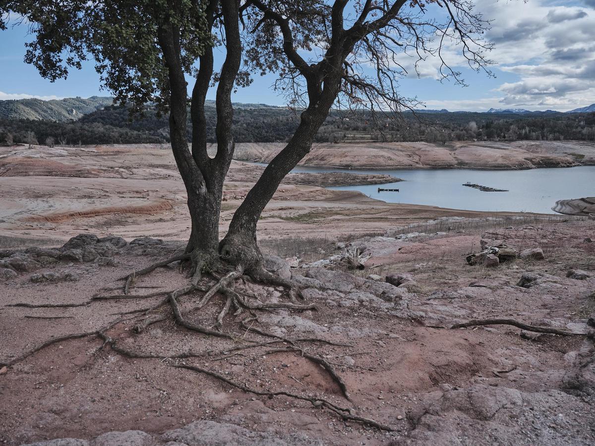 Un agonizante pantano de Sau, en Osona, el 28 de febrero del 2023