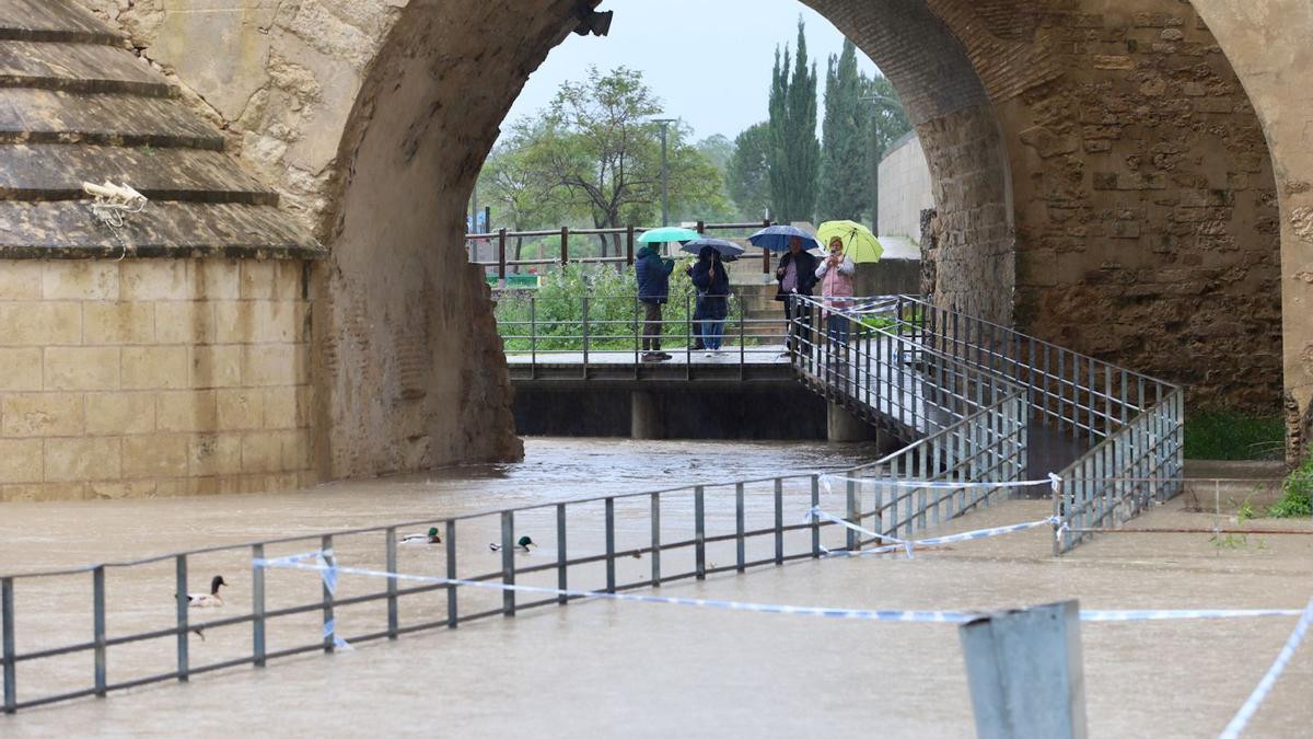 Varias personas observan la zona acordonada por las crecidas, bajo el Puente Romano, junto a la Calahorra, este Domingo de Resurrección.