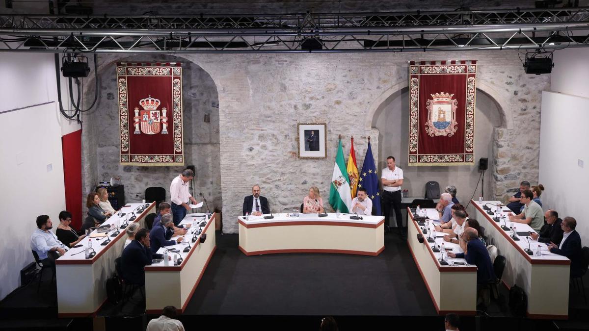 Un momento de la sesión plenaria extraordinaria que la Corporación local celebró este viernes.