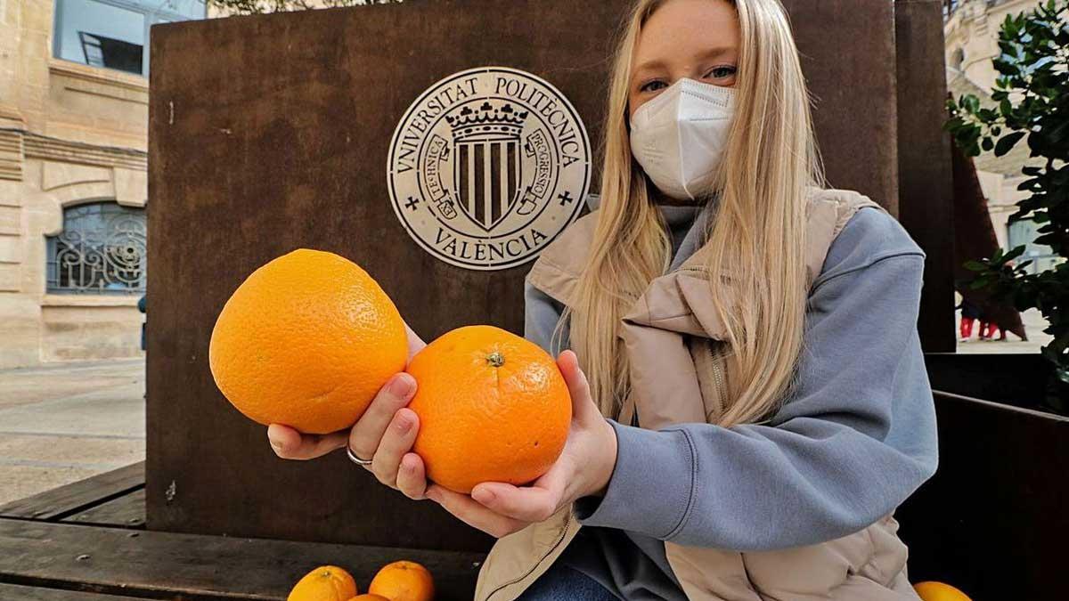 Netejar la casa amb pells de taronja