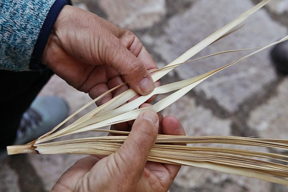 Das in Artà und Capdepera traditionelle Flechten von Palmzweigen ist gar nicht so leicht – und erfordert einen langen Arbeitsprozess.