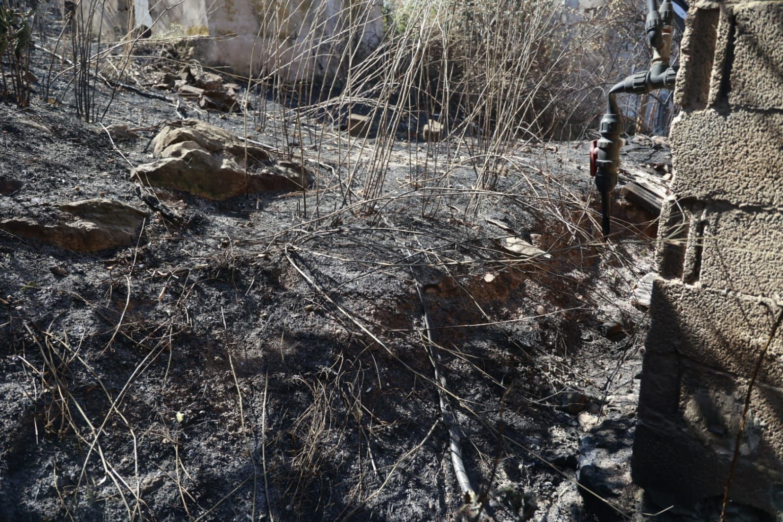 Las consecuencias del incendio de Bejís en Teresa