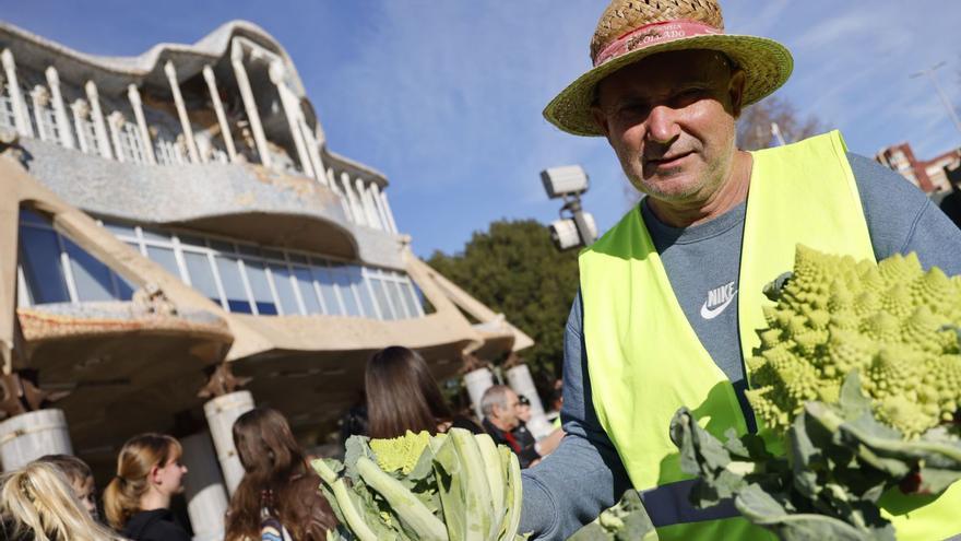 Protesta de agricultoresfrente a la Asamblea Regional.