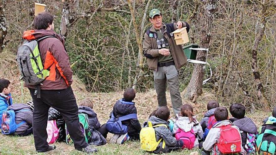 Alumnes del Solsonès durant la Festa de l&#039;Arbre de l&#039;any passat