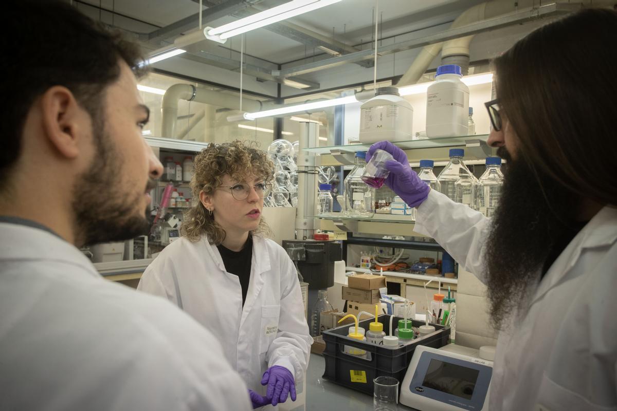 Investigadores valencianos del Instituto de Ciencia Molecular
