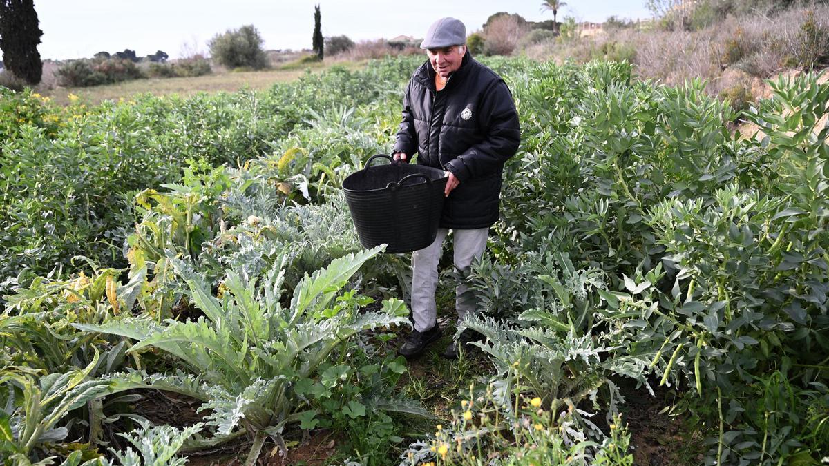 Un agricultor en la finca de su propiedad.