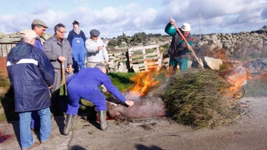 Carbellino revive la matanza tradicional