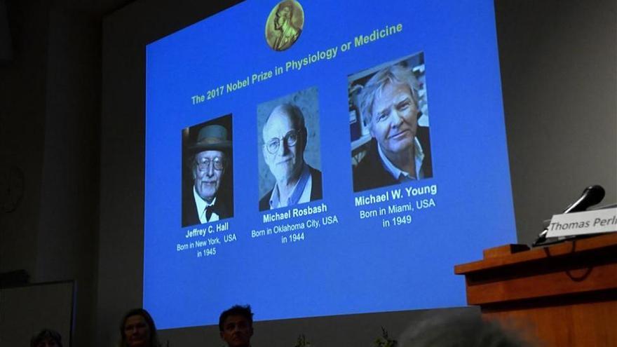 Tres estadounidenses, Nobel de Medicina por los estudios del &quot;reloj biológico&quot;