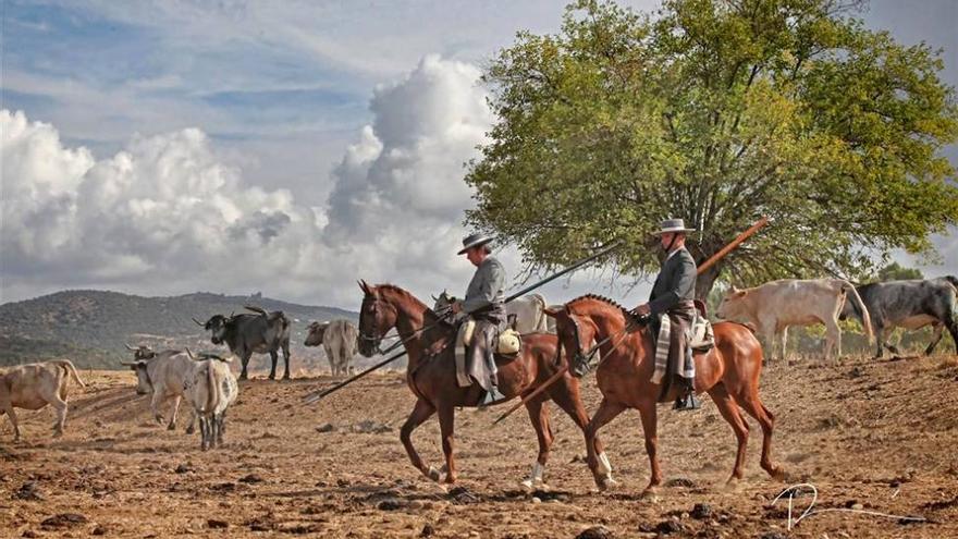 Córdoba será sede del primer congreso nacional de doma vaquera