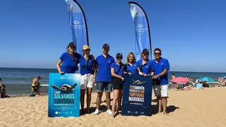 "Aquí salvamos tortugas": cuando la educación ambiental toca la playa