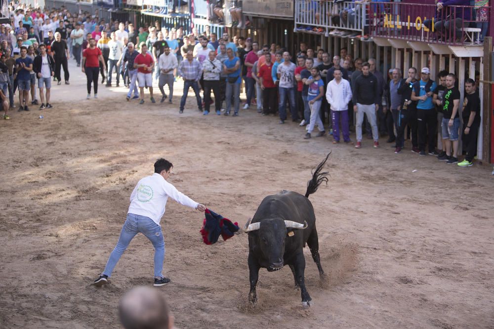 Toros y homenaje a la Tercera Edad en las fiestas de Vila-real