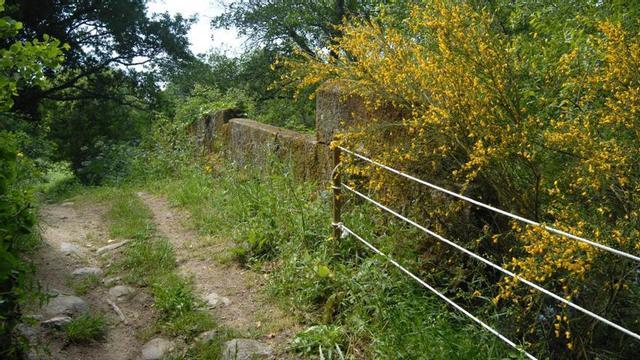Palos y cuerdas para sustituir las piedras caídas en el puente de Liñares | BERNABÉ/JAVIER LALÍN