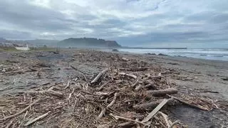 La playa de Los Quebrantos, en Soto del Barco, llena de restos de madera, troncos y residuos de todo tipo que arrastró el mar
