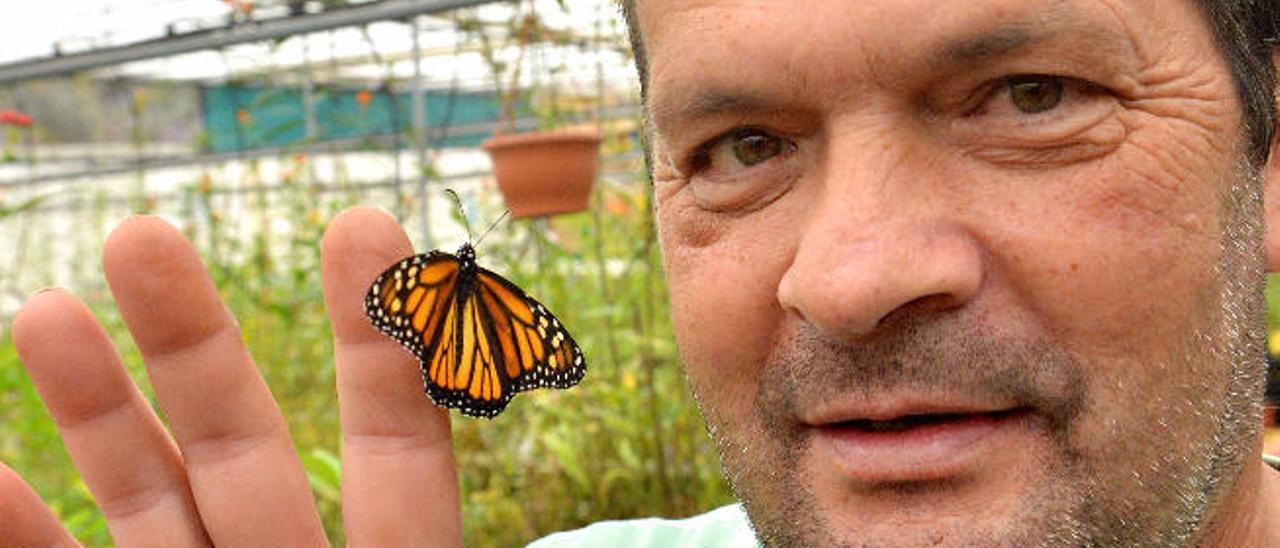 El hombre que ama las mariposas