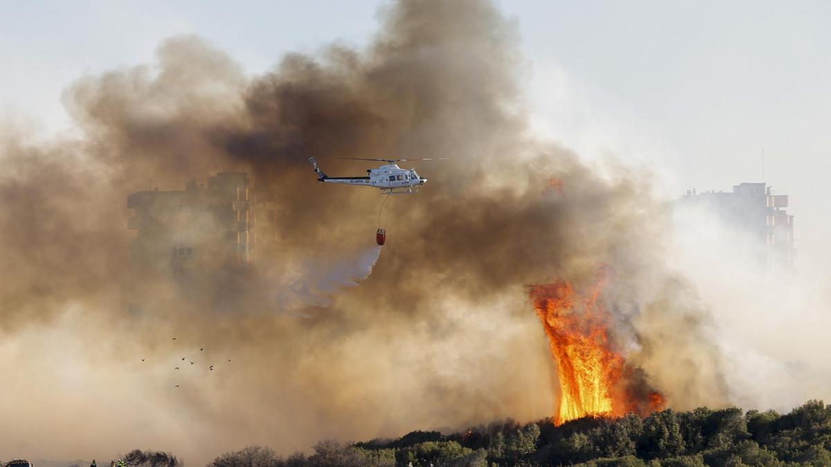 Un espectacular incendio forestal en El Saler obliga a desalojar cinco edificios.