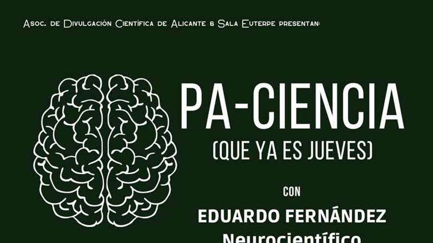 Los genes que expandieron el cerebro humano