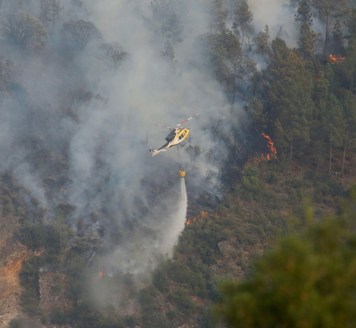 "El daño que producen los incendios"