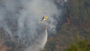 "El daño que producen los incendios"