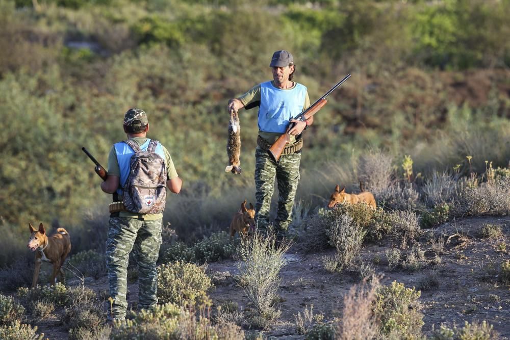 Diez mil cazadores inician la temporada de caza del conejo