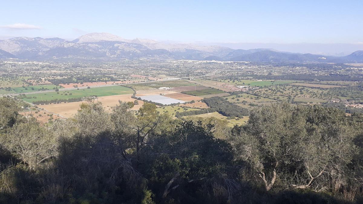 El parque de Son Vivot se instalará en el ámbito del paisaje que se aprecia en la foto tomada desde la cima de Santa Magdalena.