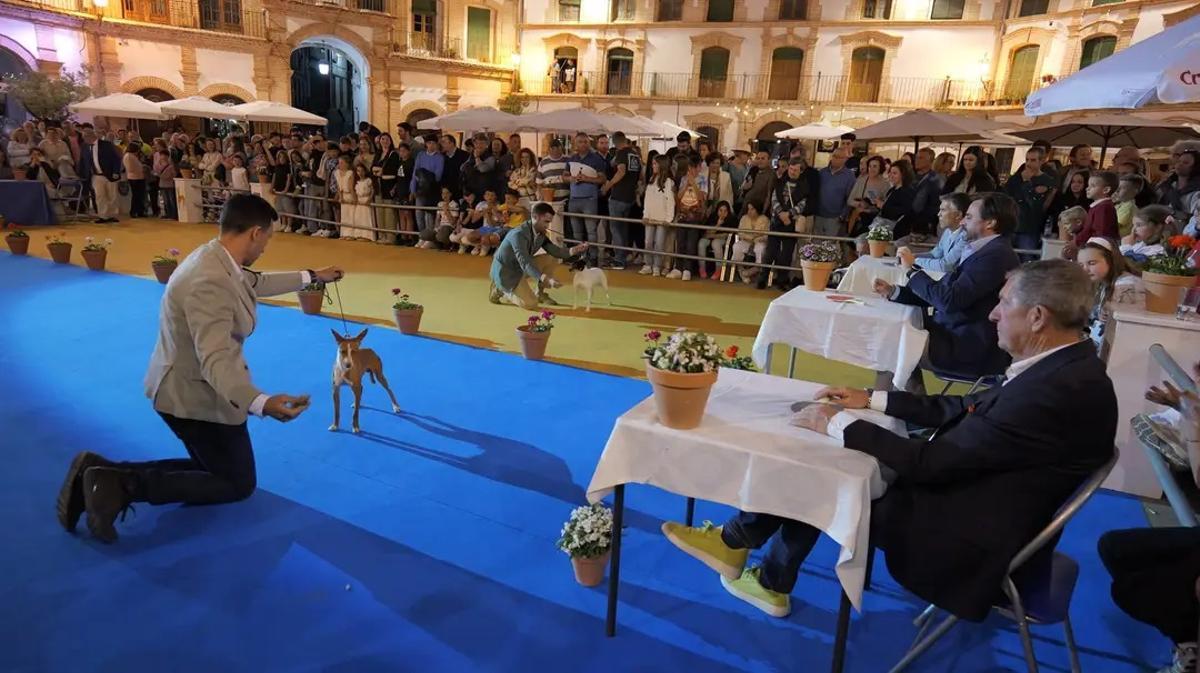 Feria del Perro de Archidona de 2024
