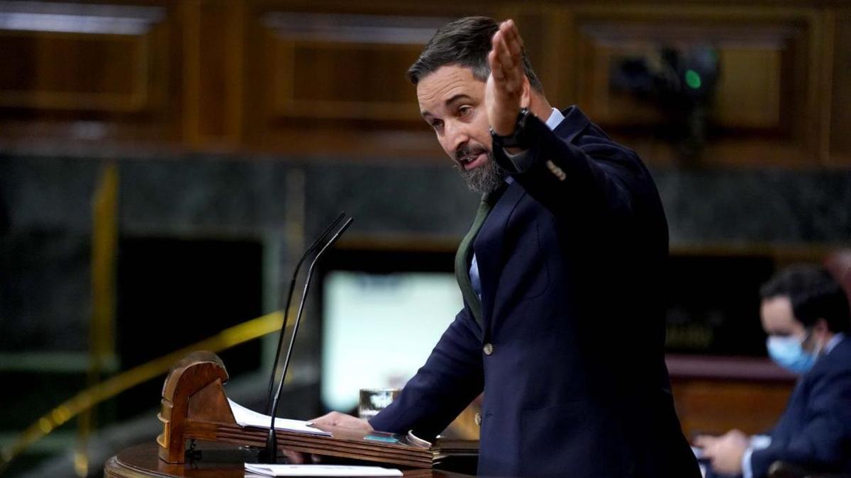 Santiago Abascal, durante una intervención en el Congreso.