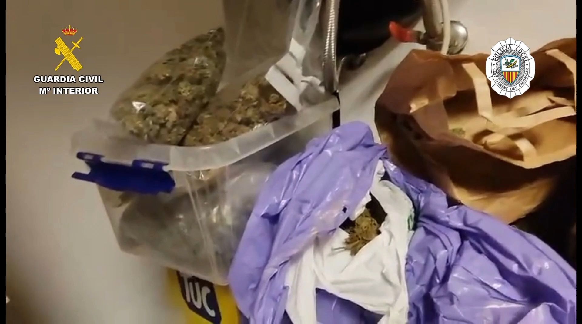 Desmantelan una asociación cannábica en Cala Millor por tráfico de drogas