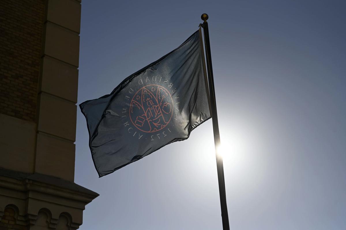 Bandera Universidad de Murcia