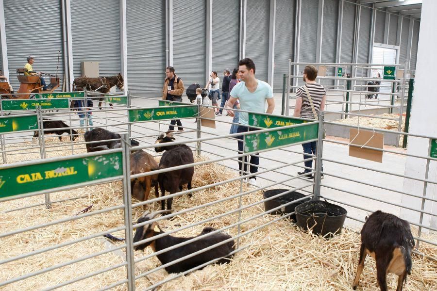 I Feria Raíces Zamora-Rural