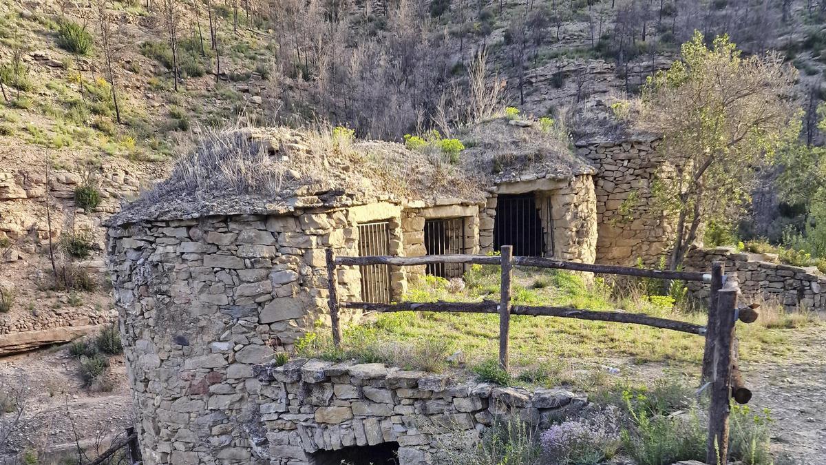 Tines de l’escudelleta, Rocafort.