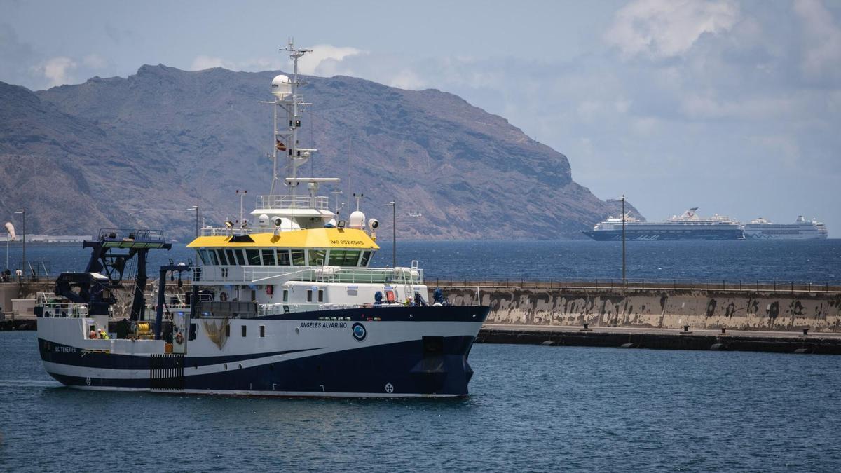 Un monte submarino a 55 millas náuticas de Vigo en honor a la pionera gallega de la oceanografía