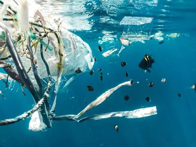 "Más población y más temporales": los científicos advierten de que la contaminación en las playas aumentará