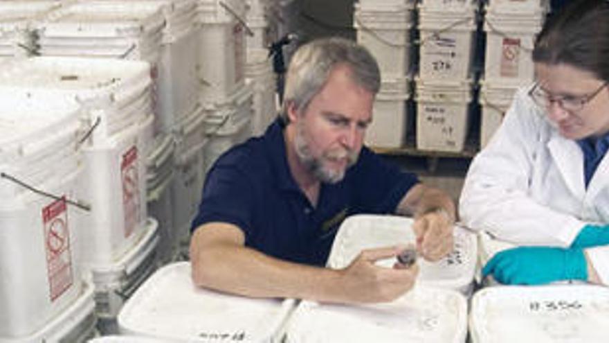 Greg Stemm, director general de Odyssey, con las monedas del tesoro del &#039;Nuestra Señora de las Mercedes&#039;