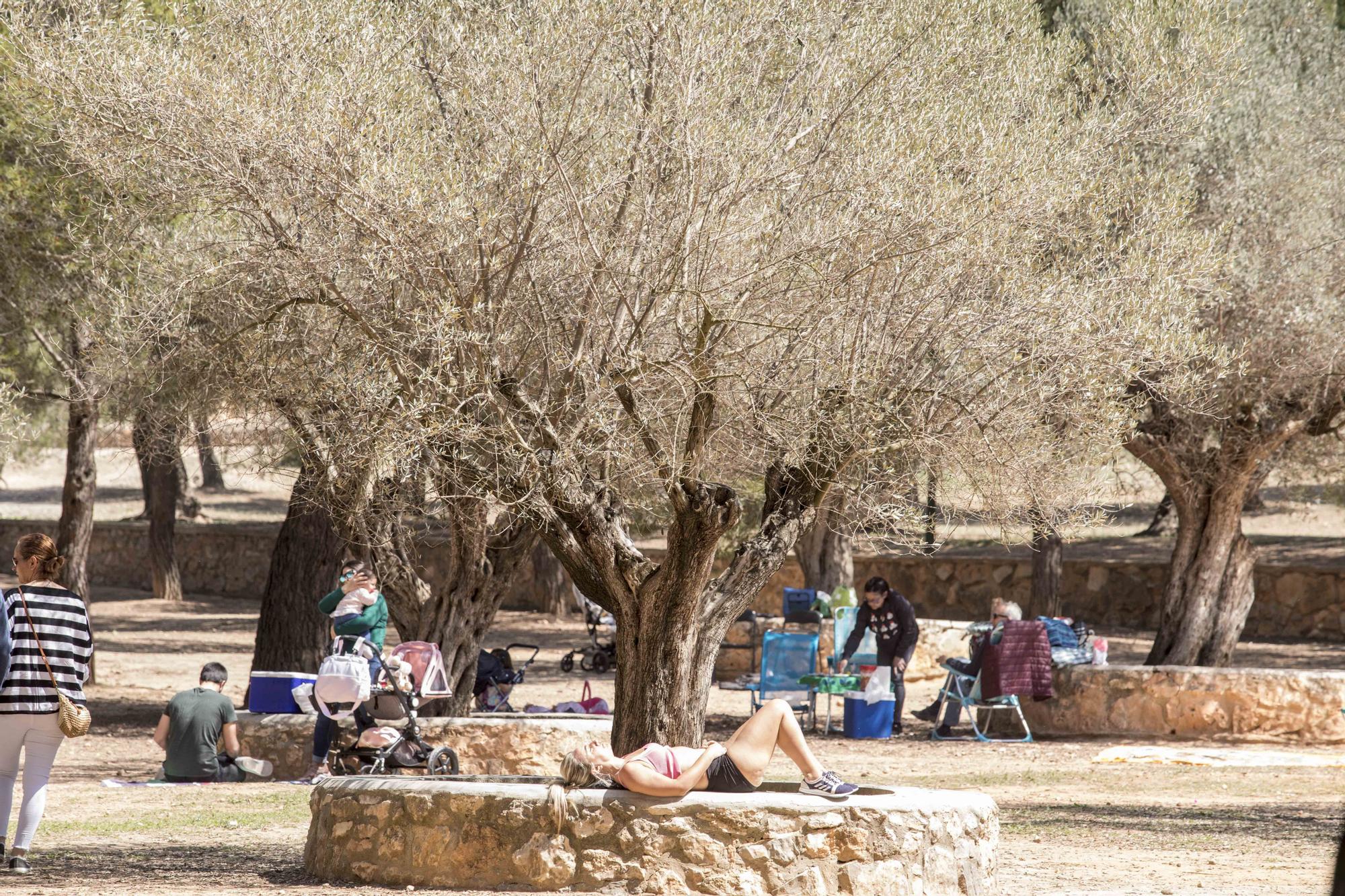 El Parc d San Vicent de Lliria vuelve a llenarse de familias dos años depués