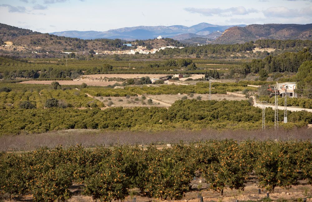 Estos son los terrenos donde irá la planta de placas solares de Renovalia en Sagunt