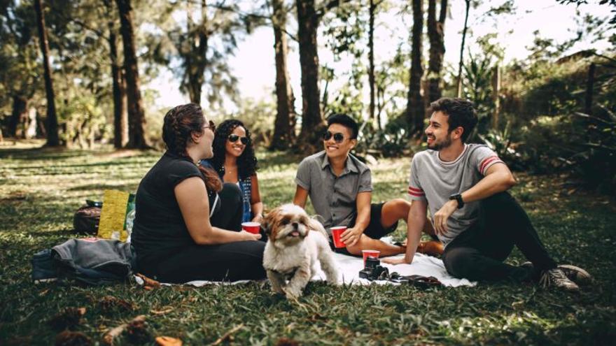 ¿Sales de picnic? Cuidado con las intoxicaciones