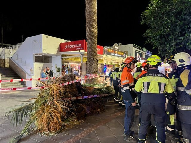 Queda atrapada debajo de una palmera en Lanzarote