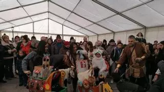 Carnavaleros con pedigrí en Toro: las mascotas se suman a la fiesta