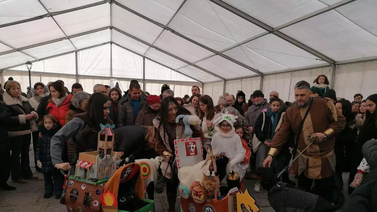 Carnavaleros con pedigrí en Toro: las mascotas se suman a la fiesta