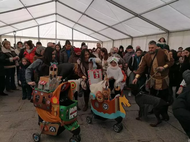 GALERÍA | Toro implica a las mascotas en sus carnavales