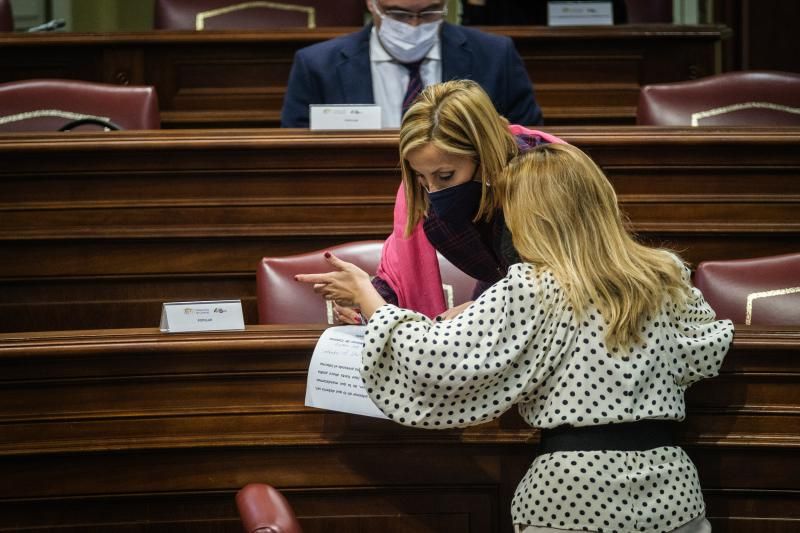 Pleno del Parlamento de Canarias, 27/12/2021