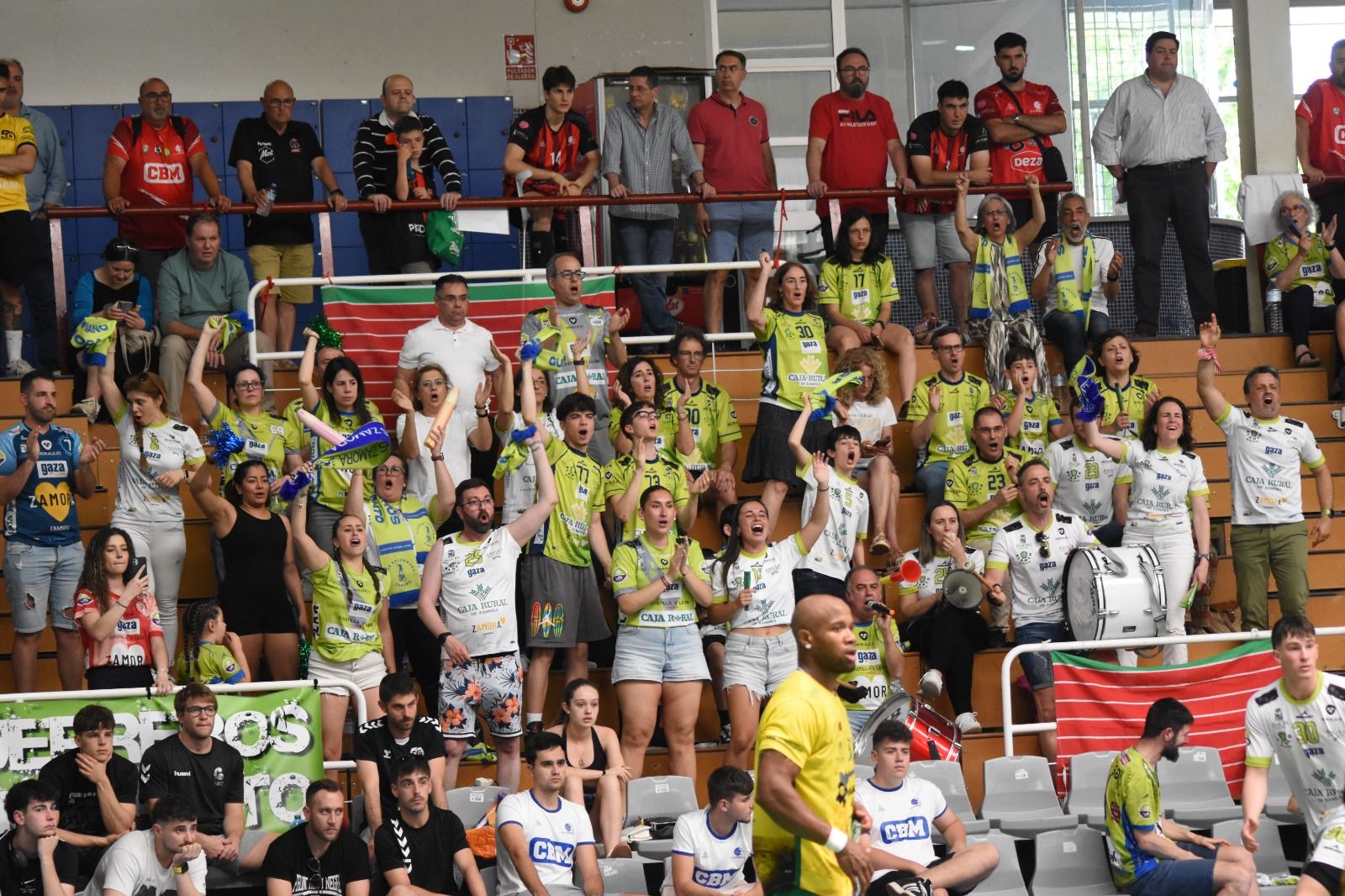 Balonmano Zamora