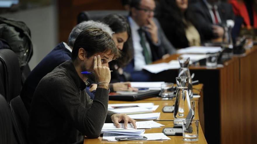 Los diputados integrados en coalición no podrán conformar un grupo propio