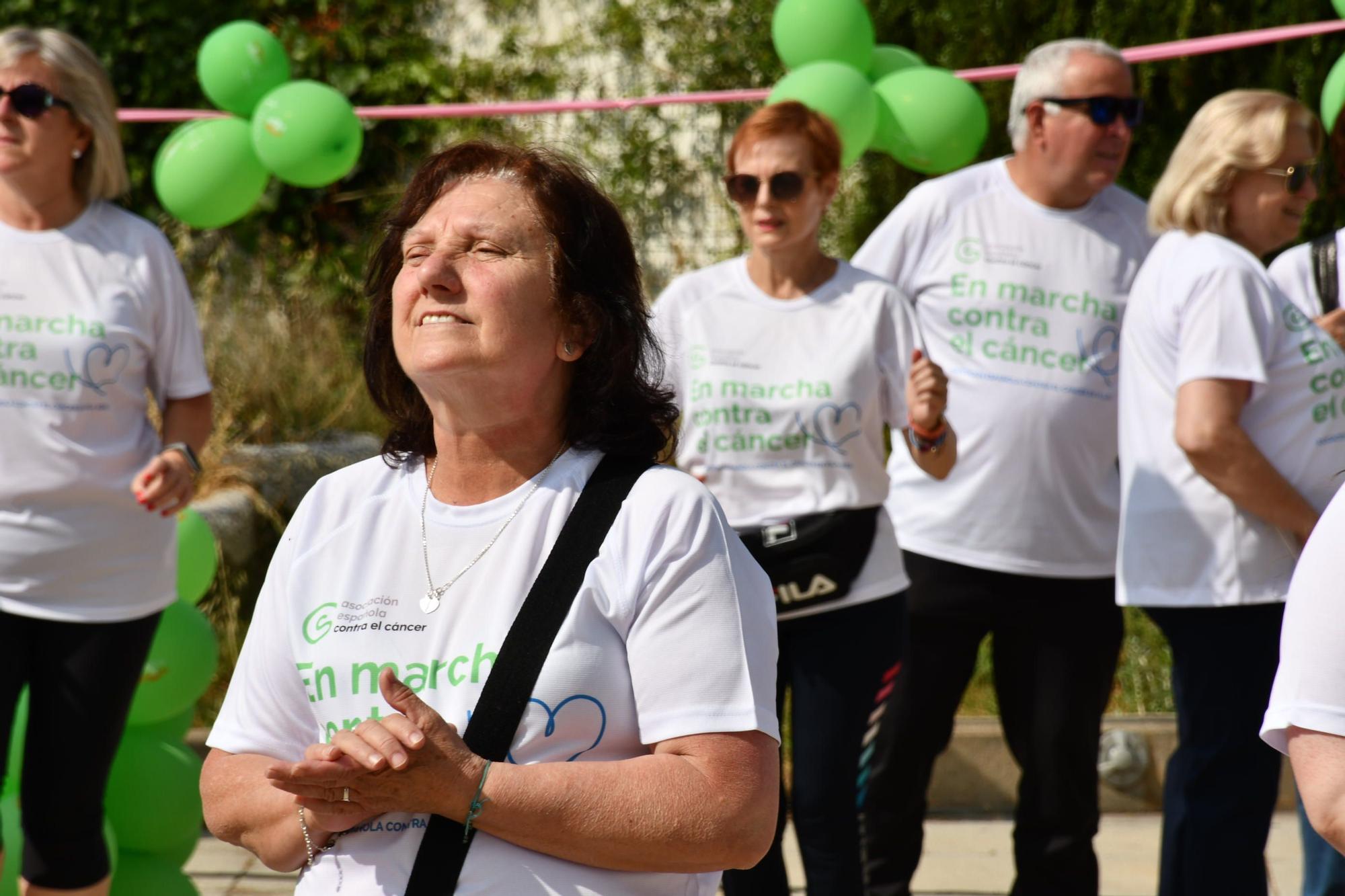 Todas las fotos de la marcha contra el cáncer de Vila-real