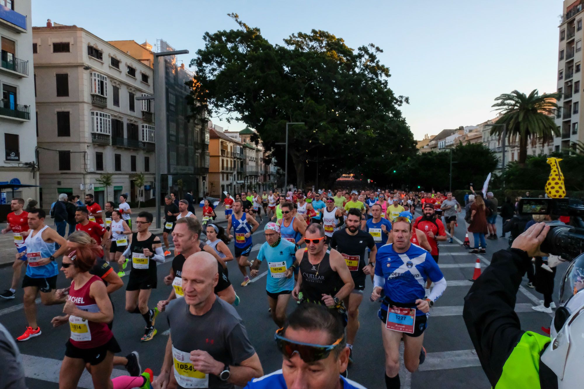 La Maratón de Málaga 2023, en imágenes